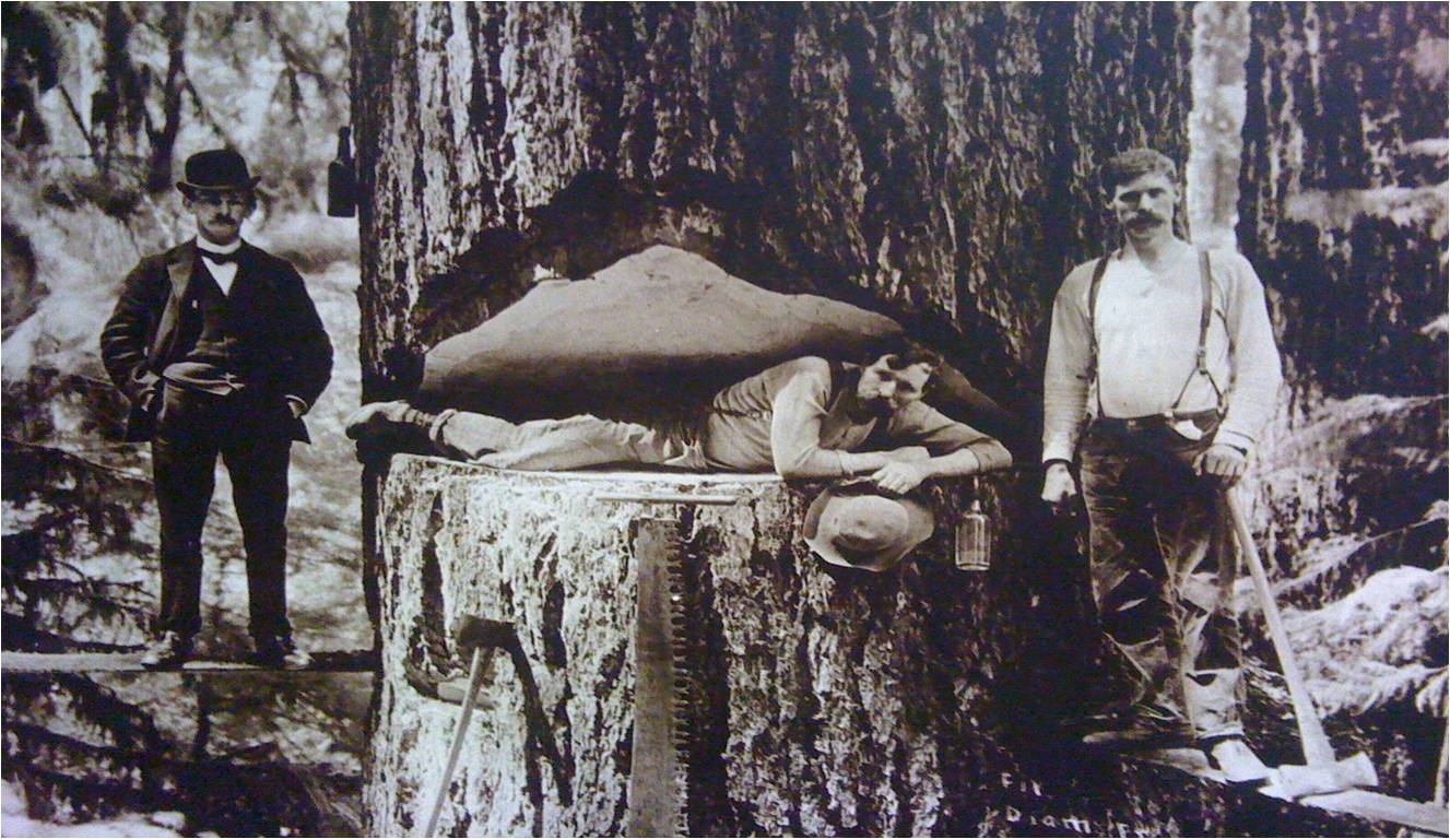 �D�������ɣ �c(di��n)���ɷŴ�