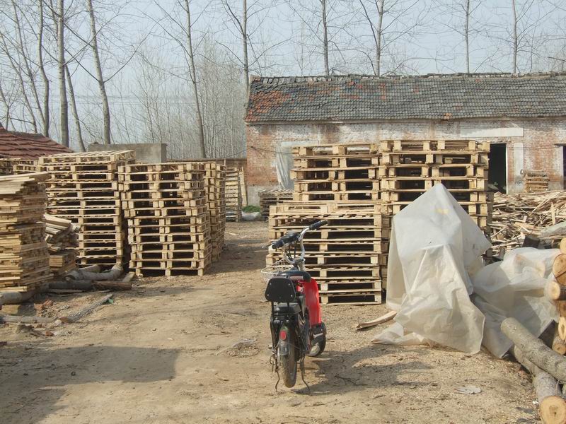 �D���ֵ�ľ�I(y��)�S�r��B9 �c���ɷŴ�