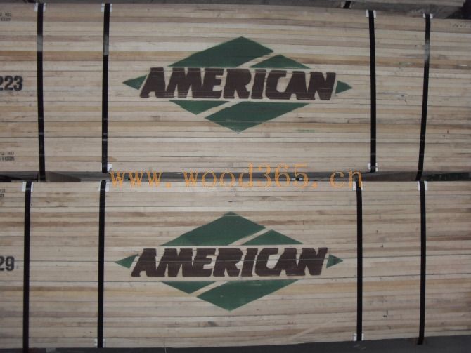 �D��AMERICN �c(di��n)���ɷŴ�