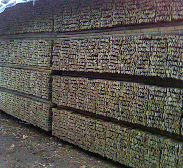 �D����ܰ� �c(di��n)���ɷŴ�