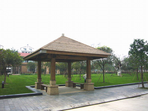 �D��ͤ��-�ɹ����� �c���ɷŴ�