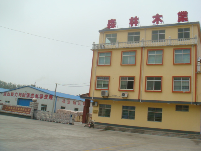 �D�����ɭ��ľ�I(y��)�gӭ�� �c(di��n)���ɷŴ�