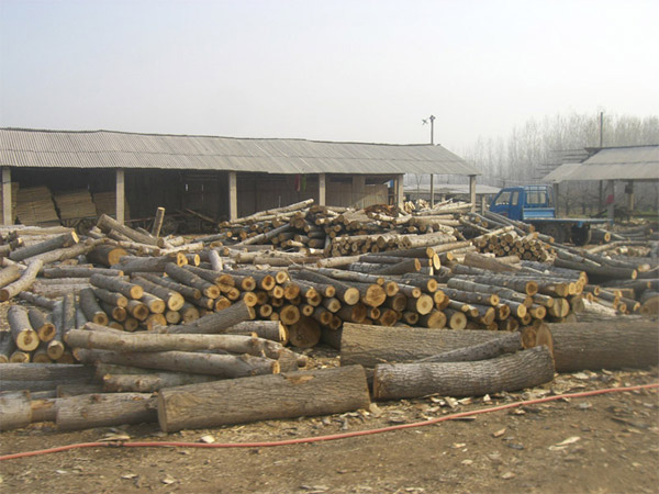 �D�����S�DƬ �c(di��n)���ɷŴ�