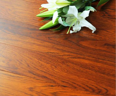 �D����ľ�ذ�--�OƷɽ�y �c���ɷŴ�