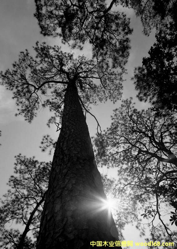 �D����˾ �c(di��n)���ɷŴ�