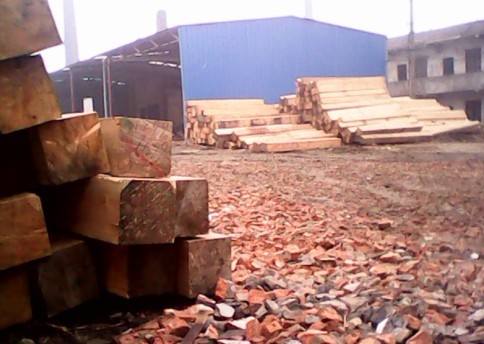 �D���t�ɴ�1 �c���ɷŴ�