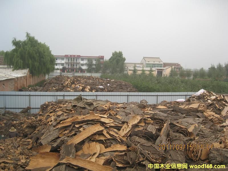 �D����ӬF(xi��n)�� �c(di��n)���ɷŴ�