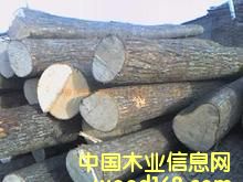 �D�����NҎ(gu��)��ԭľ �c���ɷŴ�