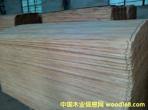 �D��00 �c(di��n)���ɷŴ�