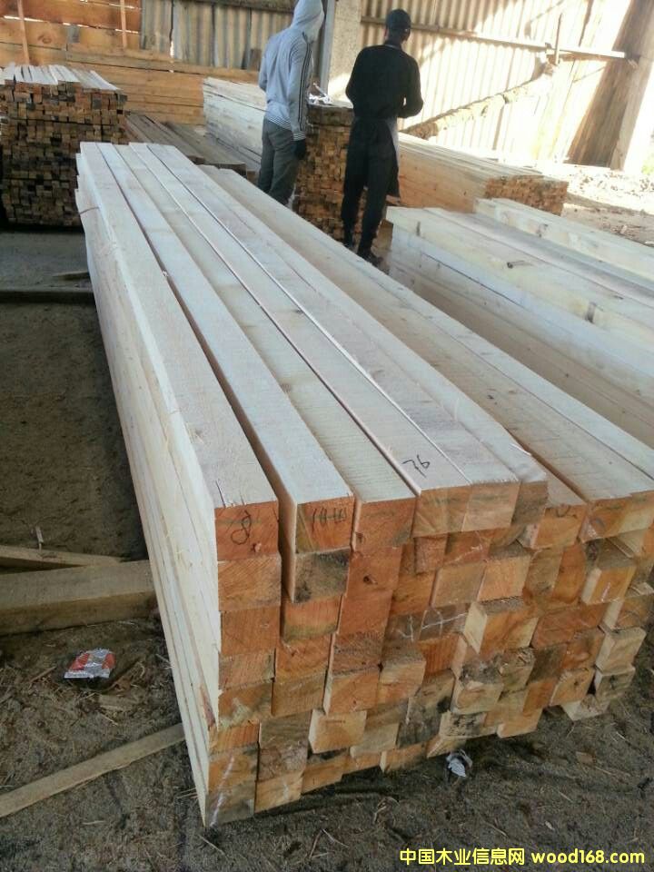 �D�����ɳɲ� �c���ɷŴ�