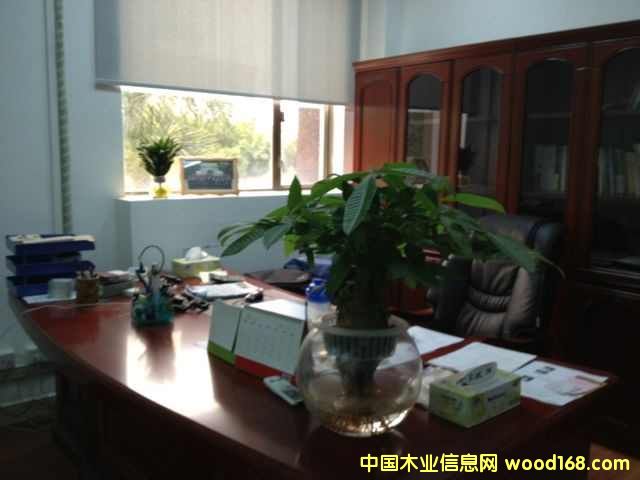 �D������(j��ng)���k���� �c���ɷŴ�