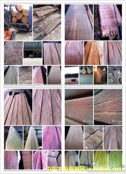 �D����� �c(di��n)���ɷŴ�