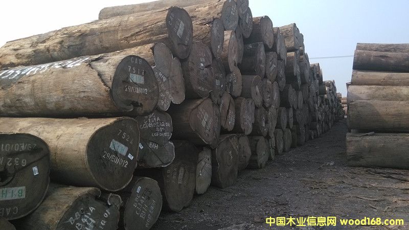 �D���µ�؛���u��ľ �c���ɷŴ�