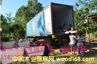 �D����~�S̴ �c���ɷŴ�