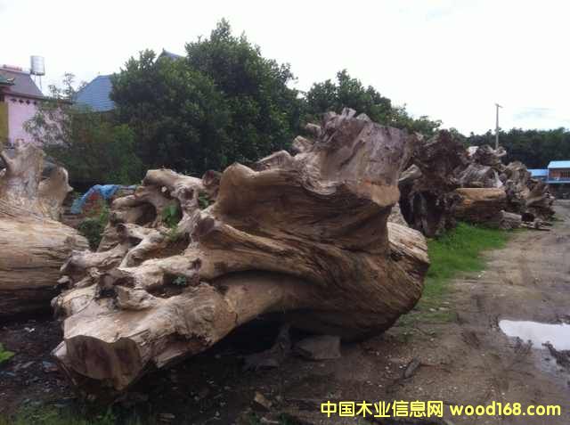 �D��؛�� �c���ɷŴ�