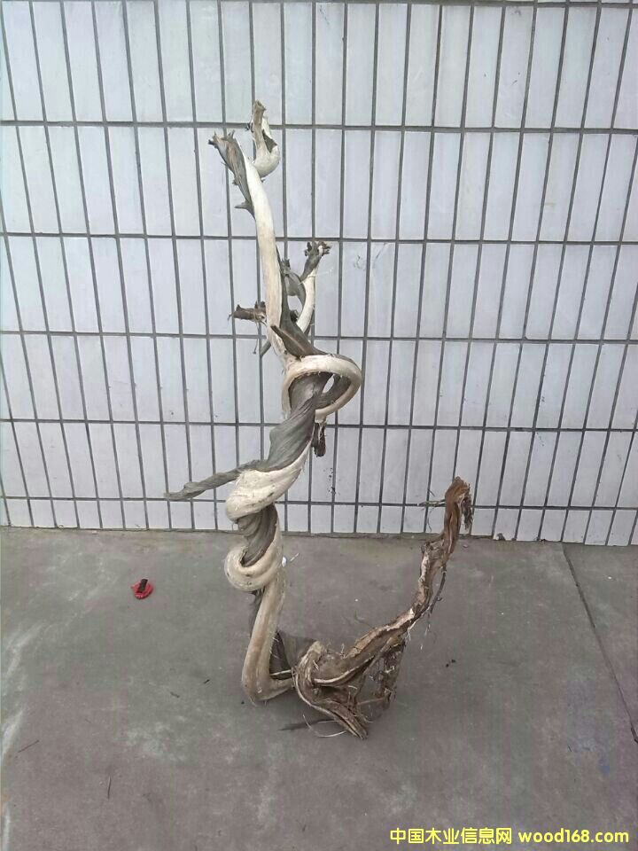 �D���°س�Ʒ �c(di��n)���ɷŴ�