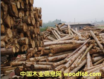 �D������������ľ����ľ �c(di��n)���ɷŴ�