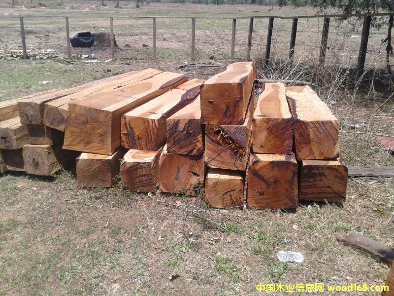 �D���ϓ뻨�� �c���ɷŴ�