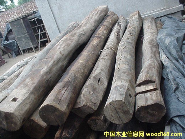 �D����ʢԴľ�I(y��) �c���ɷŴ�