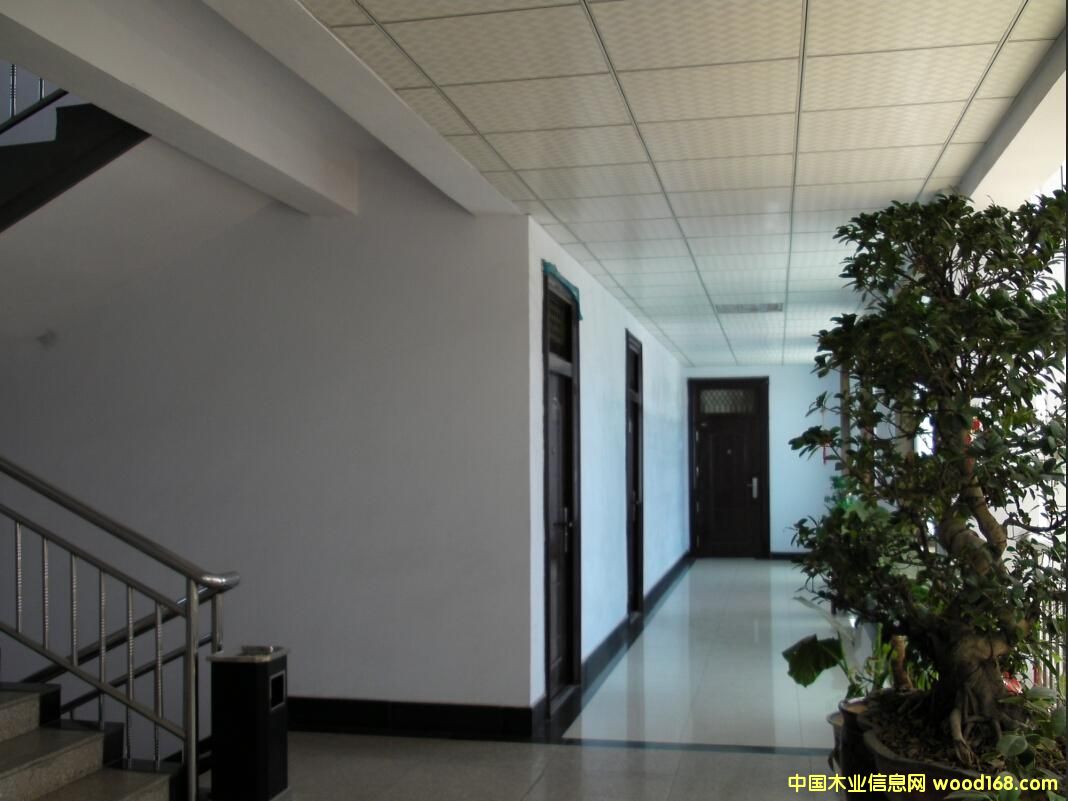 �D���L(f��ng)��5 �c(di��n)���ɷŴ�