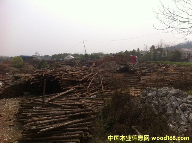 �D��ɼԭľ�b܇(ch��) �c(di��n)���ɷŴ�