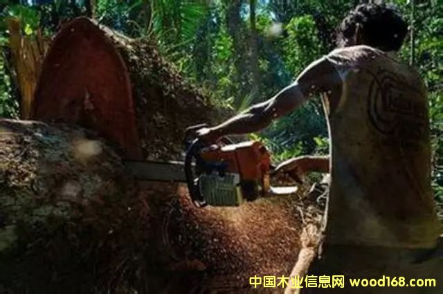 �D����������Ϣ���W(w��ng)2��8�Ո�(b��o)������ý�Q���Ї��¸��A�Ӳ����j���������������L�|�ρ���ϡľ�ĵķǷ��Q(m��o)���������l(f��)���ξo������Y�Y(ji��)�ǖ|�ρ����ҵ���Ȼ�YԴ���������޴�ı��������� �c(di��n)���ɷŴ�