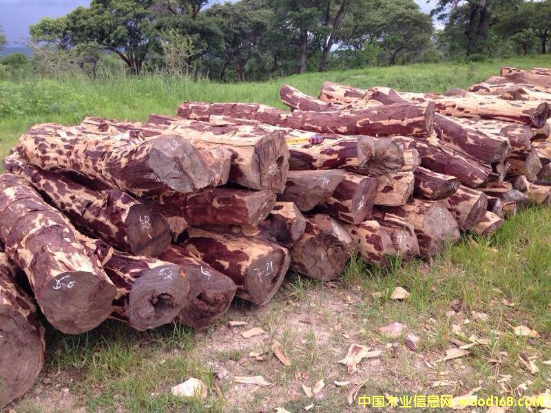 �D��ٝ�ȁ�Ѫ̴ �c(di��n)���ɷŴ�