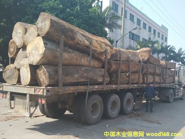 �D���\ݔ �c���ɷŴ�