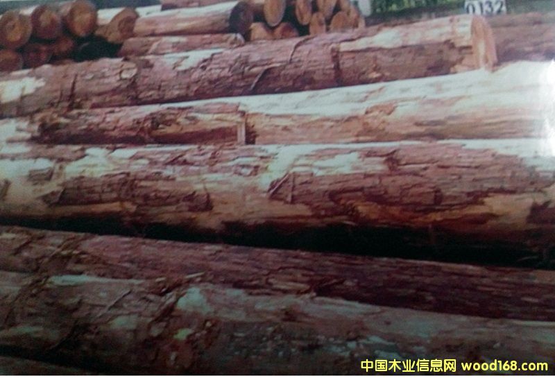 �D������ԭľɼľ �c(di��n)���ɷŴ�