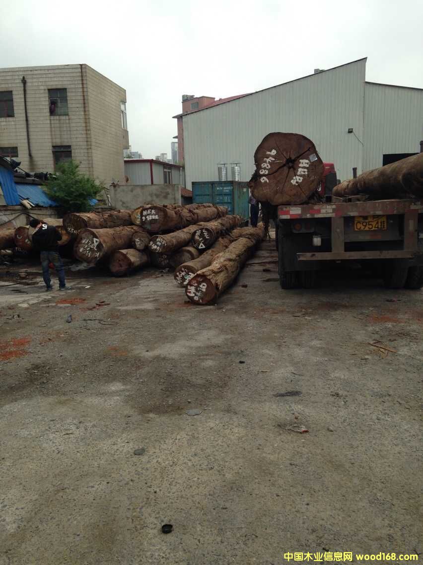 �D����˾��ӬF(xi��n)�� �c���ɷŴ�