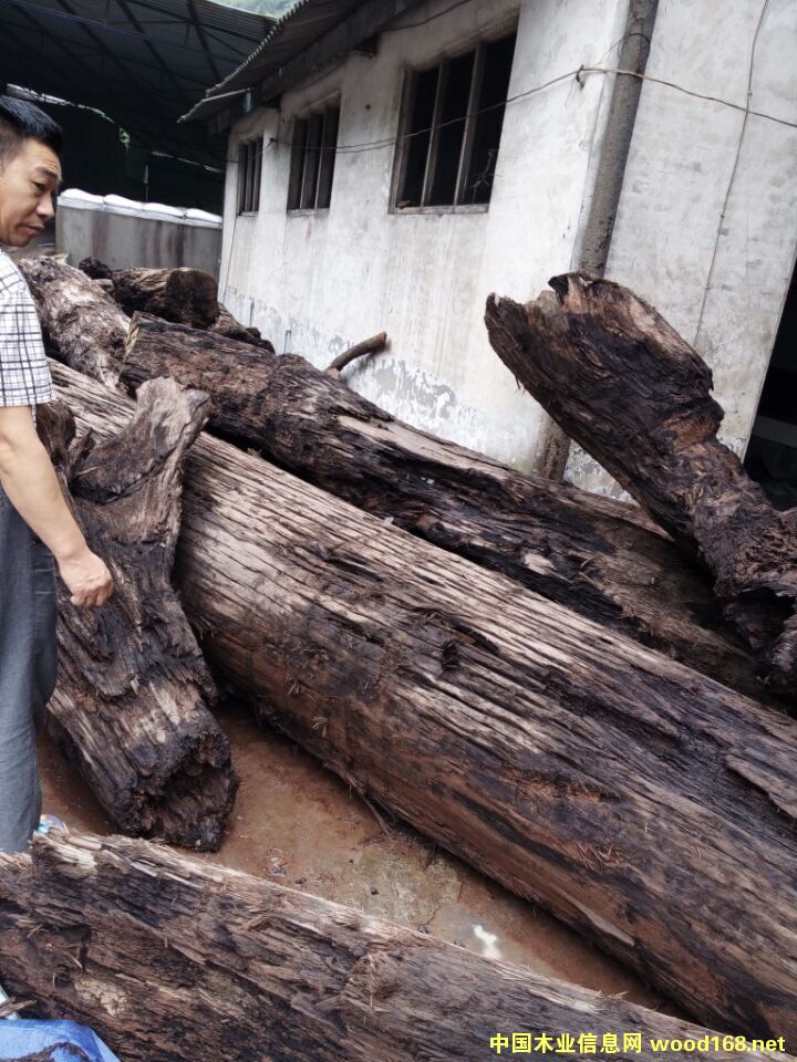 �D����ľ��骘� �c���ɷŴ�