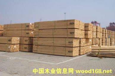 �D��ľ�� �c���ɷŴ�