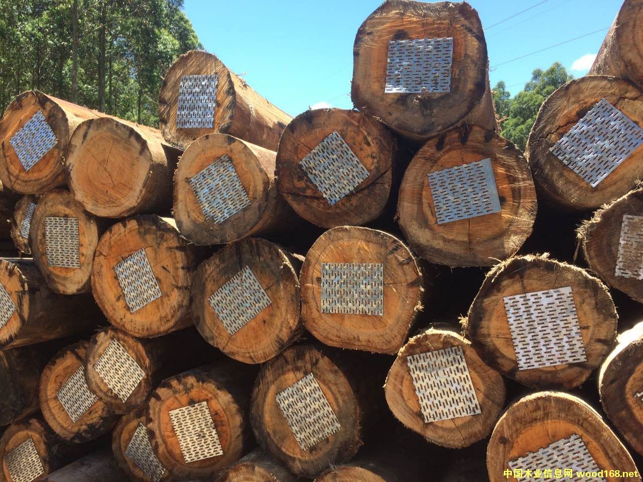 �D��õ����ľ �c���ɷŴ�