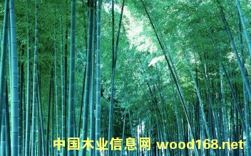 �D����(y��u)�|(zh��)��Ƭ �c(di��n)���ɷŴ�