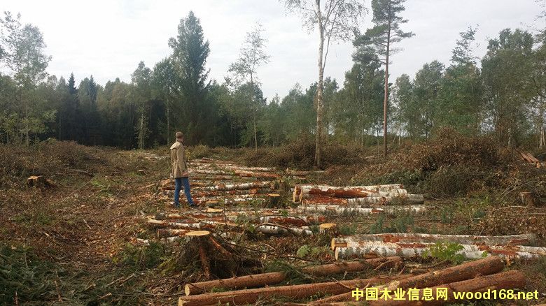 �D�����Wԭľ �c(di��n)���ɷŴ�