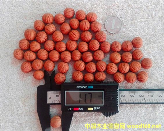 �D������10-45mm����(gu��)���^���� �c(di��n)���ɷŴ�