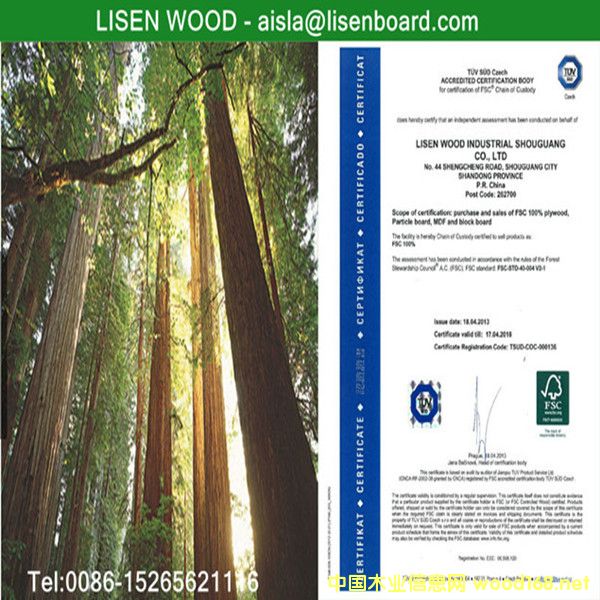 �D��FSC ɭ���wϵ�J(r��n)�C �c(di��n)���ɷŴ�