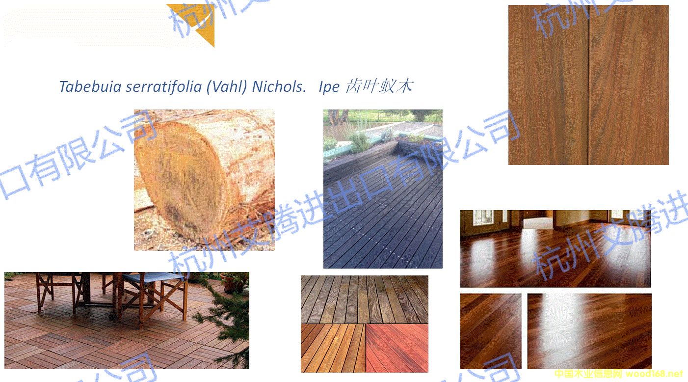 �D�����R�dľ�� �c(di��n)���ɷŴ�