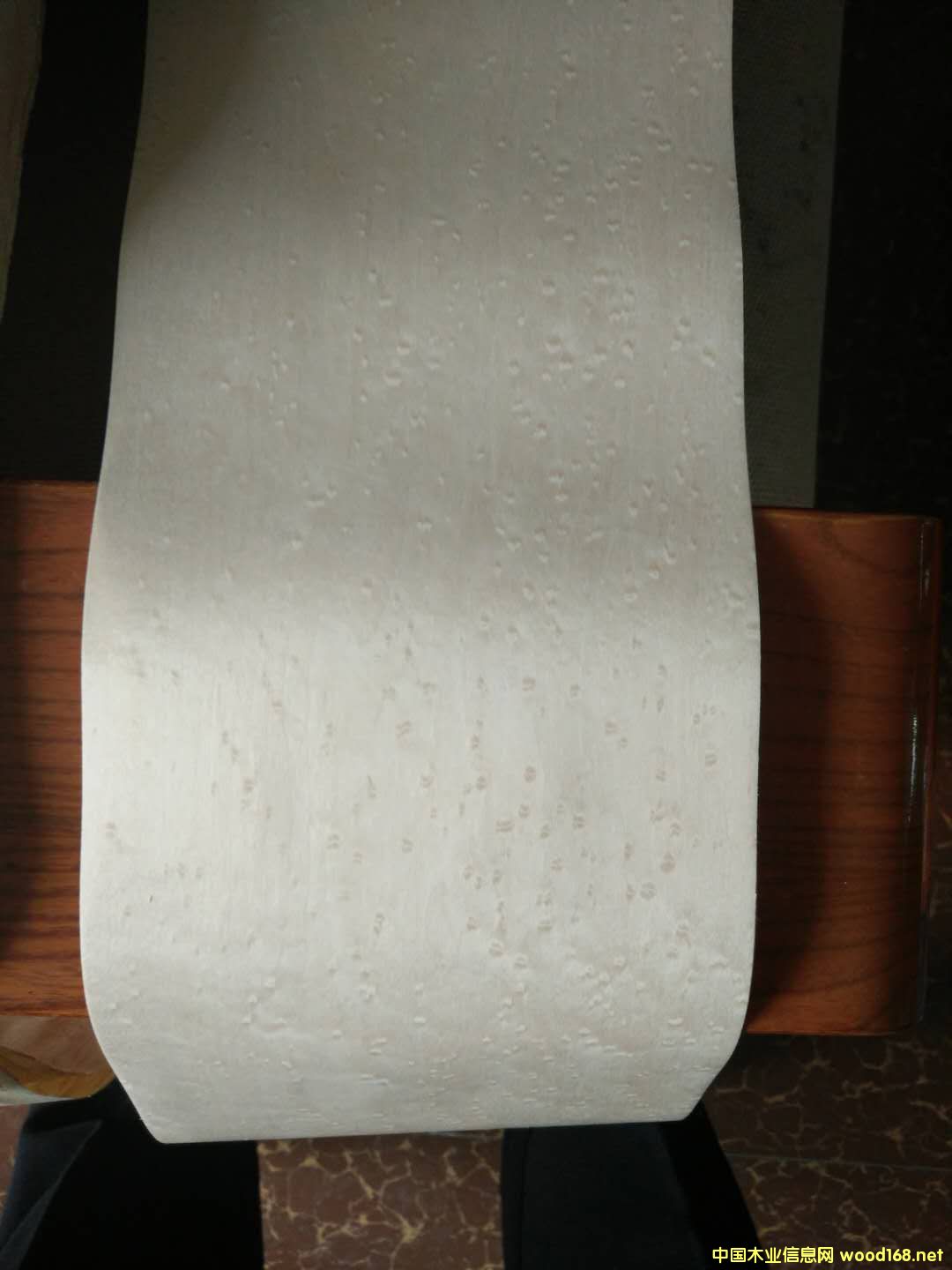 �D������ �c(di��n)���ɷŴ�