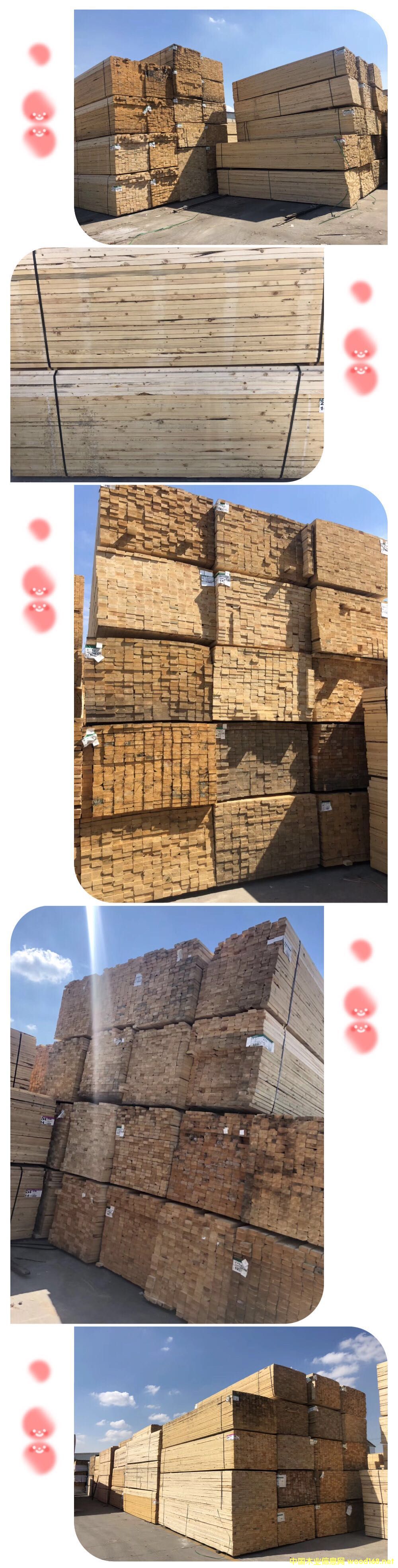 �D����˹��-38*89 �c(di��n)���ɷŴ�