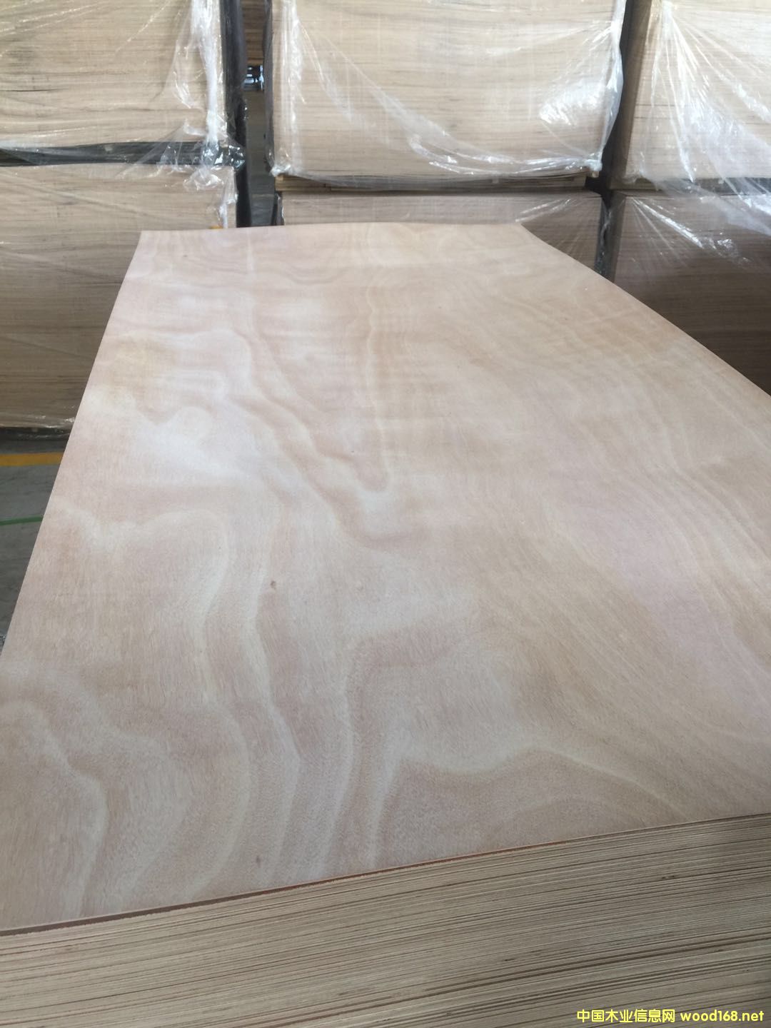 �D���һ�о �c���ɷŴ�