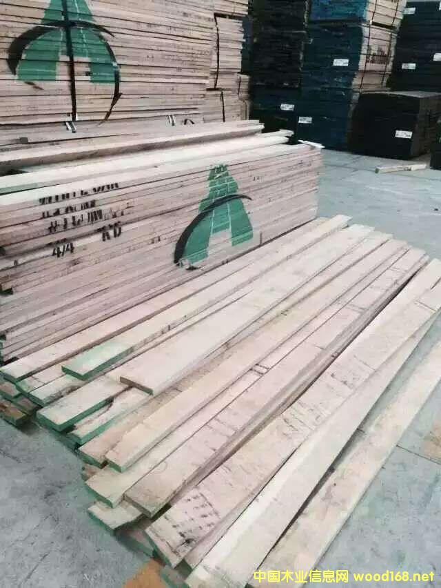 �D������ɭ �c(di��n)���ɷŴ�