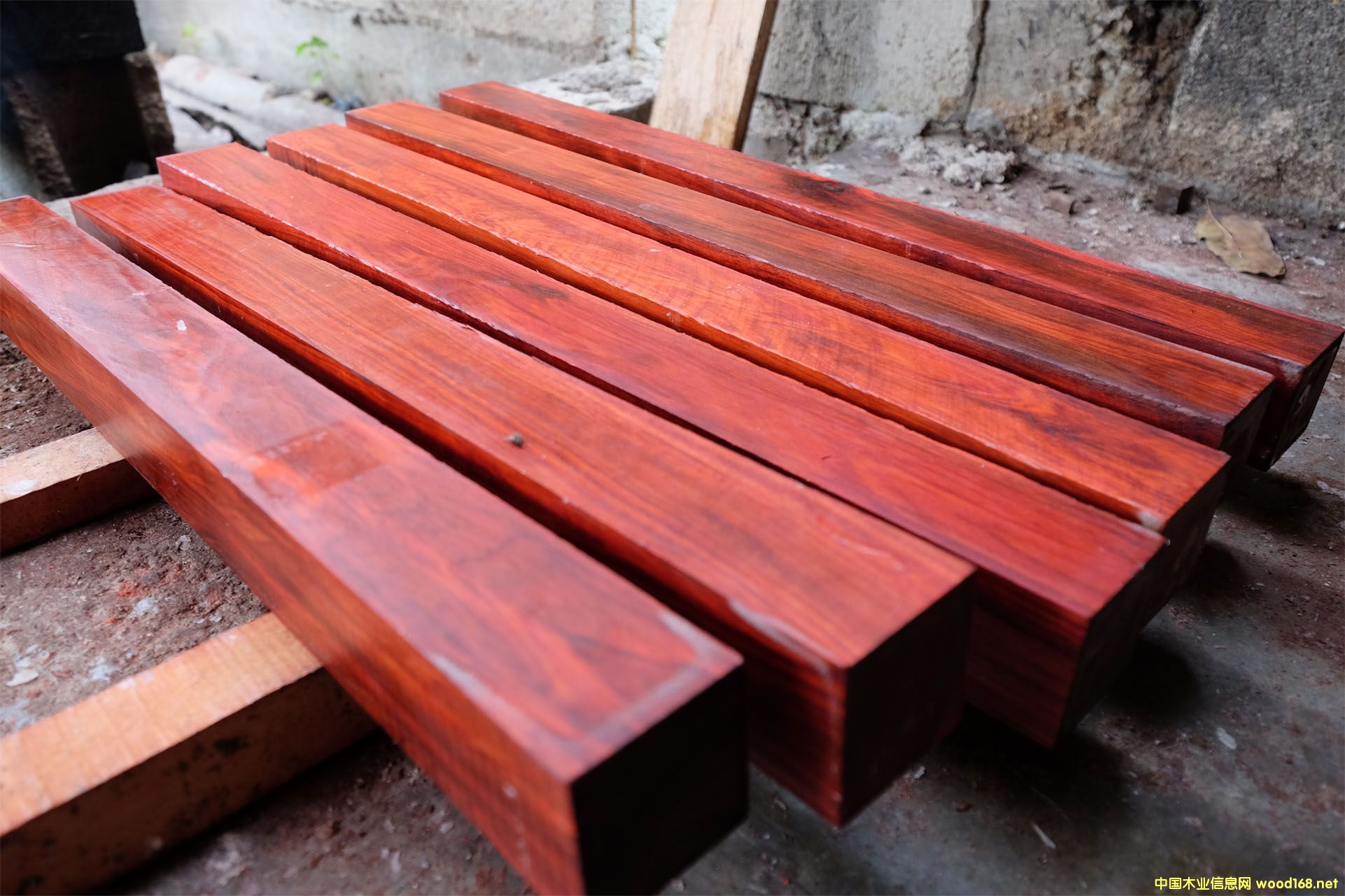 �D��ī����t��ľӆ����Ϟ?z��i)��K, �Ա�ɫ�� �c���ɷŴ�