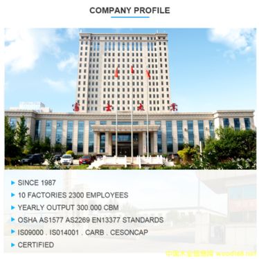 �D����˾��I(y��)���� �c���ɷŴ�