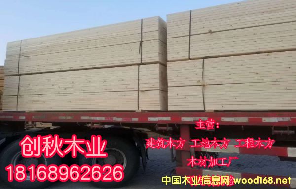 �D������ľ�� �c���ɷŴ�