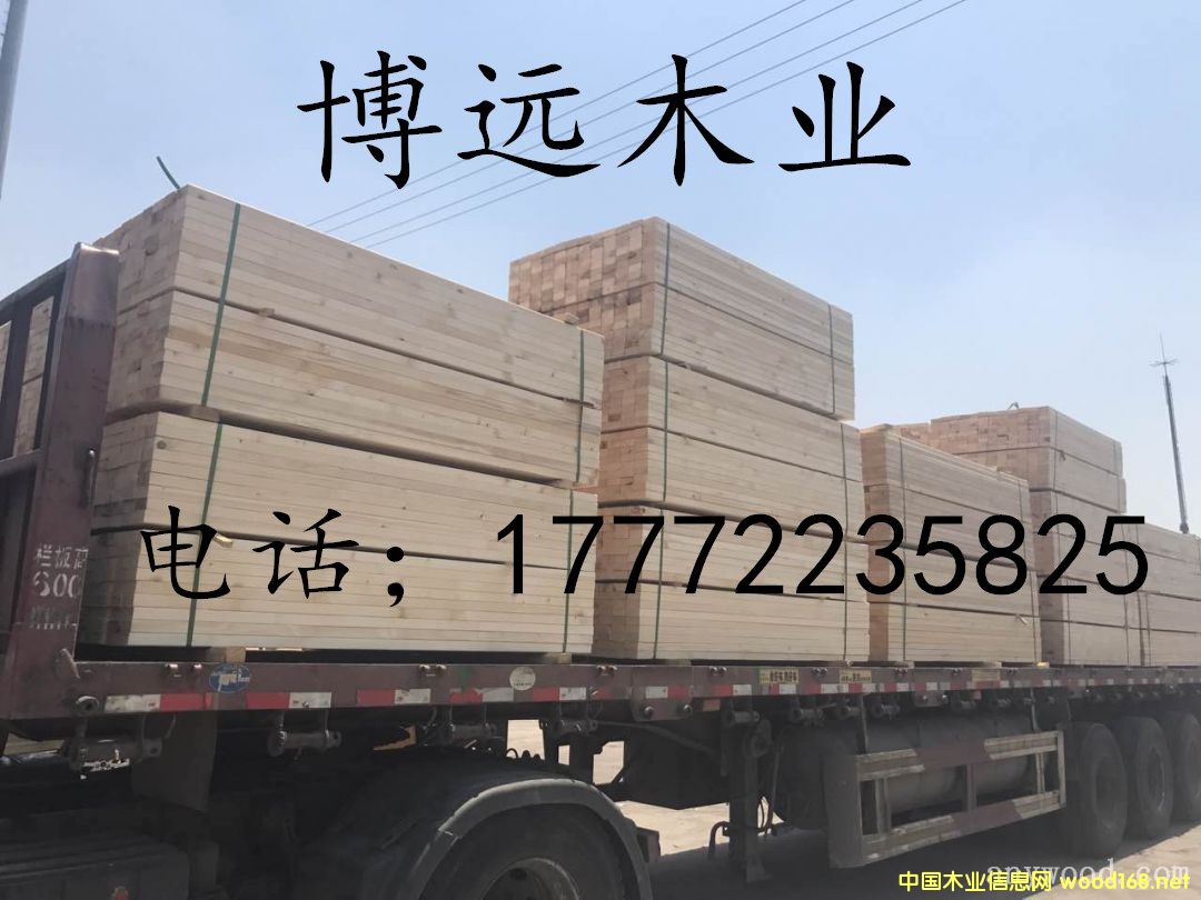 �D��101 �c���ɷŴ�