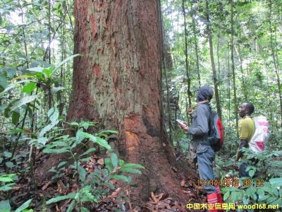 �D������������ֈ�(ch��ng)�֘I(y��)��У�(y��n)��ľ��(sh��)�� �c(di��n)���ɷŴ�