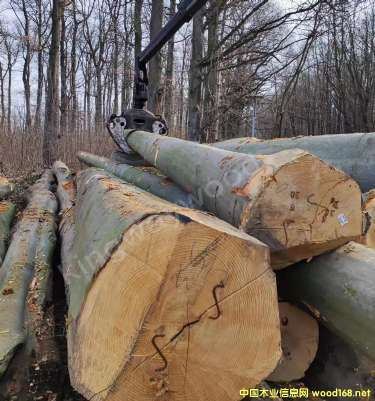 �D����ľԭľ �c(di��n)���ɷŴ�