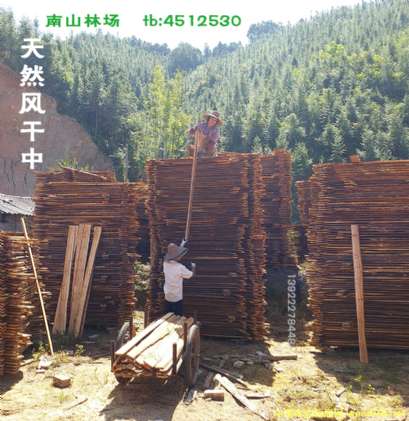 �D���҂��_�ψ�(ch��ng)02 �c(di��n)���ɷŴ�