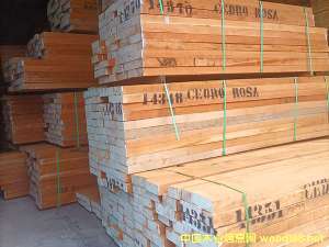 �D�����S܇�g �c���ɷŴ�